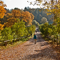 Павловский парк