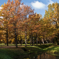 Павловский парк