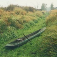 "Чёрная лодка" на пересохшей протоке к реке Бужа у деревни Шестимирово