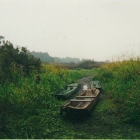 "Чёрные лодки" на пересохшей протоке к реке Бужа у деревни Шестимирово