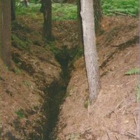 Лесной родник за деревней Бородино. Август 1997г.