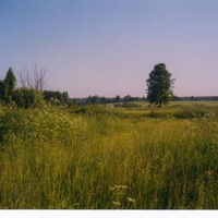 Смоленская область,деревня Копытово.Окраина деревни.