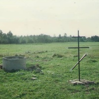 Родник у деревни Федотово. Сентябрь 1995г.