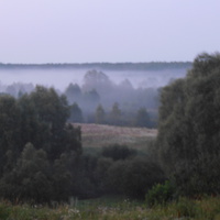 Туман над лесом д.Семиричи