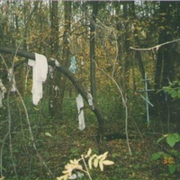 Родник на опушке леса у деревни Васютино. Сентябрь 2003г.