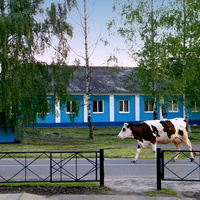 Облик села Кривцово