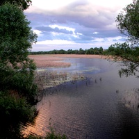 Природа села Новоалександровка
