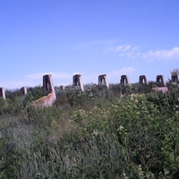 Старая ферма , то есть её остатки .