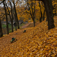 В Дворцовом парке