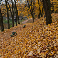 Дворцовый парк