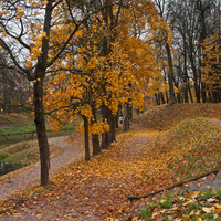 Дворцовый парк