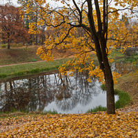 Дворцовый парк