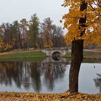 Карпин пруд