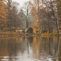 Дворцовый парк