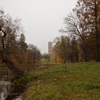 Дворцовый парк