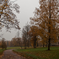 Дворцовый парк