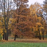 Дворцовый парк