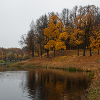 Карпин пруд