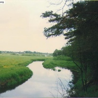 Река Поля у д. Дмитровка