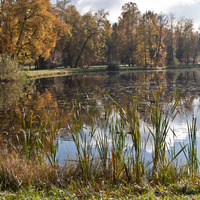 Большой Розовопавильонный пруд