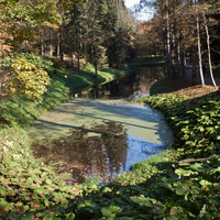 Нижний Розовопавильонный пруд
