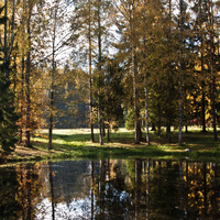 Нижний Розовопавильонный пруд