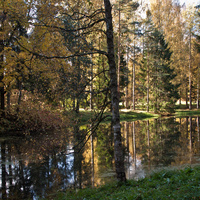Нижний Розовопавильонный пруд
