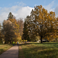 Павловский парк