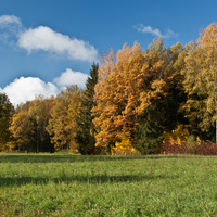 Павловский парк