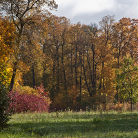Павловский парк