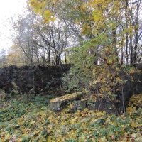 Парк бывшей усадьбы Брискорнов