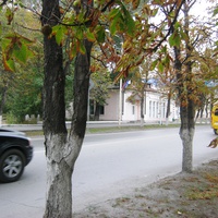 Центральная улица Новошахтинска.