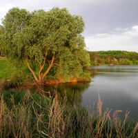 Природа села Орловка