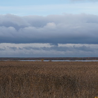 Вид на Лахтинский залив.