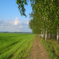 Дорога в Дмитриевку