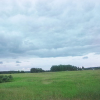 зевневское поле