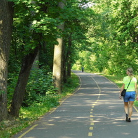 г. Пенза, олимпийская аллея.