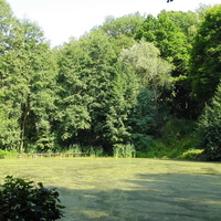 г. Пенза, солдатское озеро.