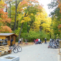 г. Пенза, Олимпийская аллея.