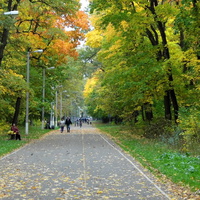 г. Пенза, Олимпийская аллея.