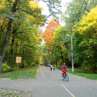 г. Пенза, Олимпийская аллея.