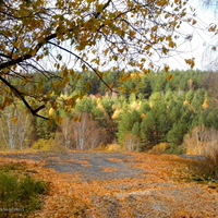 г. Пенза, «Ласточкины горы».
