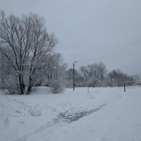 зимой в родной Новомлынке