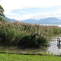 Annecy-le-Vieux  2014