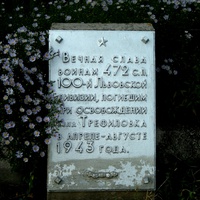 Могила безымянных воинов, погибших в годы Великой Отечественной войны