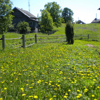Весна в Раменье. 2011.