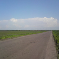 Дорога в Столбецкое. Лето