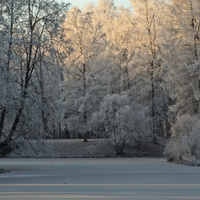 Александровский парк