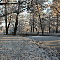 Александровский парк