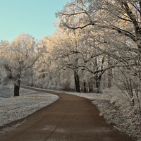Александровский парк